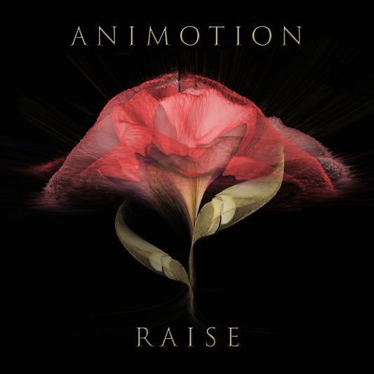 ANIMOTION Raise Your Expectations